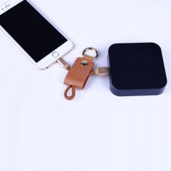 Charging Cable Key Chain