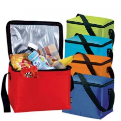 Insulated Cooler Bag 6 pack