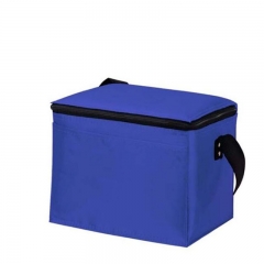 Insulated Cooler Bag 6 pack