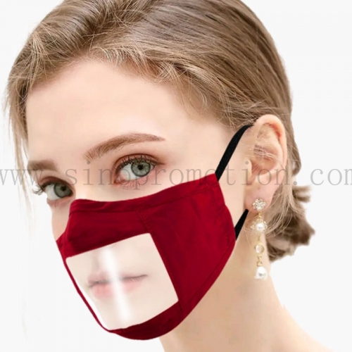 Mask with Anti-fog Window