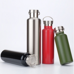 Insulated Stainless Steel Bottle