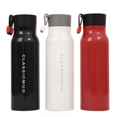 Stainless Steel Bottle