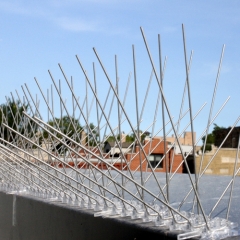 Anti Bird Spikes