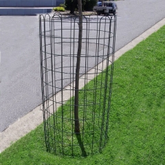 Metal Tree Guards