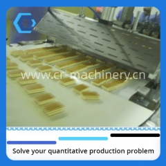 CRM-SRCL swiss roll cake line, layer cake production line/ sponge cake line manufacturer