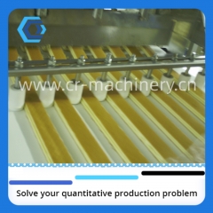 CRM-SRCL swiss roll cake line, layer cake production line/ sponge cake line manufacturer