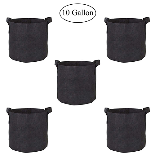Fasunry Grow Bags 10 Gallon, 5 Pack Durable Fabric Planting Pots with Strap Handles, Perfect for Vegetables and Fruits
