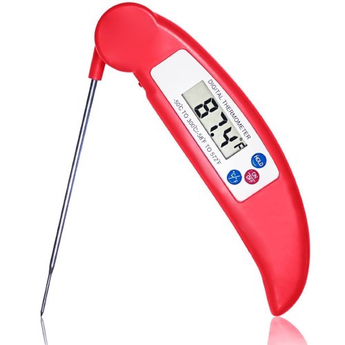 FOLDING DIGITAL THERMOMETER