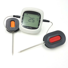 BLUETOOTH THERMOMETER