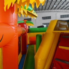 5x9m Inflatable Playground