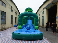 30FT Green Inflatable Water Slide