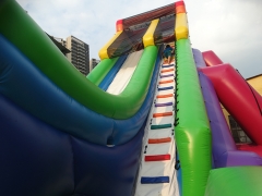 Wet & Dry Slide With Cliff Jump