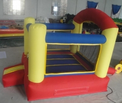 Home Use Bouncer