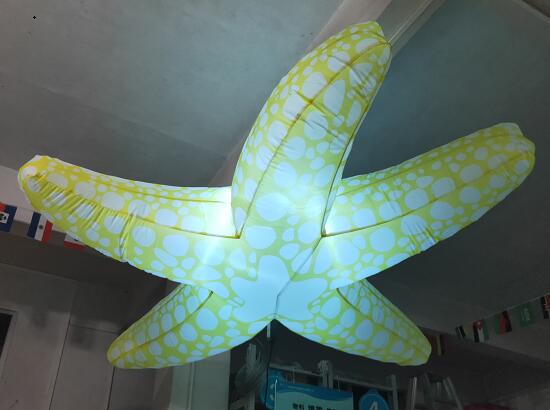 inflatable starfisn