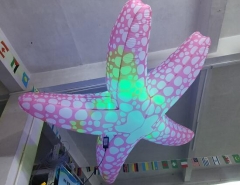 Inflatable Starfish