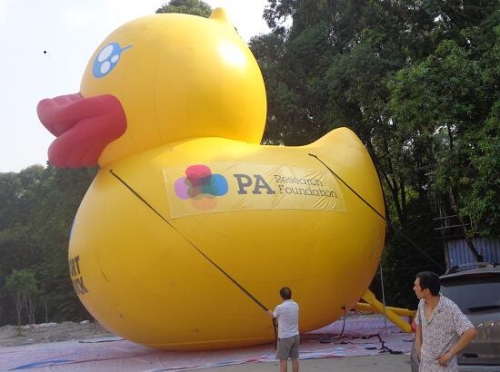 10m Large Inflatable Duck