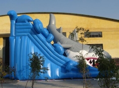 Shark Inflatable Dry Slide