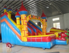 Cartoon Bouncy Castle Slide