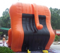Tiger Inflatable Slide