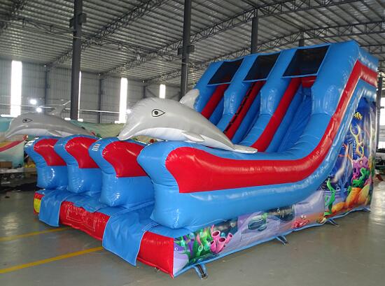 inflatable dolphin slide