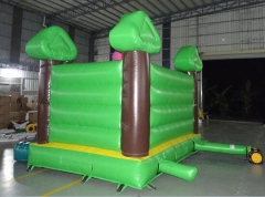 4x4m Bounce House for Sale