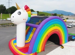 Unicorn Inflatable Slide