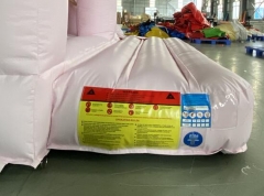 Pink Bouncy Castle to Buy
