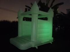 Luminous Bouncy Castle