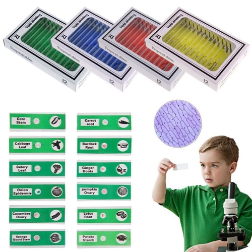 Microscope Prepared Plastic Slides for Kid Children Studend Biological Specimen for Mini Camera Microscope Education