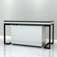 Contemporary Glass Jewelry Display Case