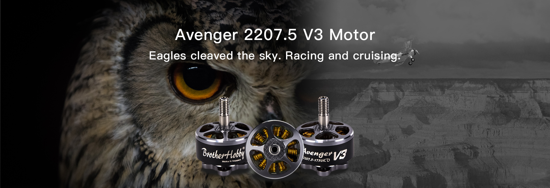 Avenger 2207.5 V3 Motor