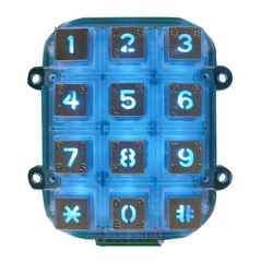 IP65 waterproof backlight dye-casting numeric keypad