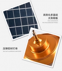 WS - Led solar yard