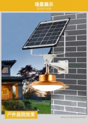 WS - Led solar yard