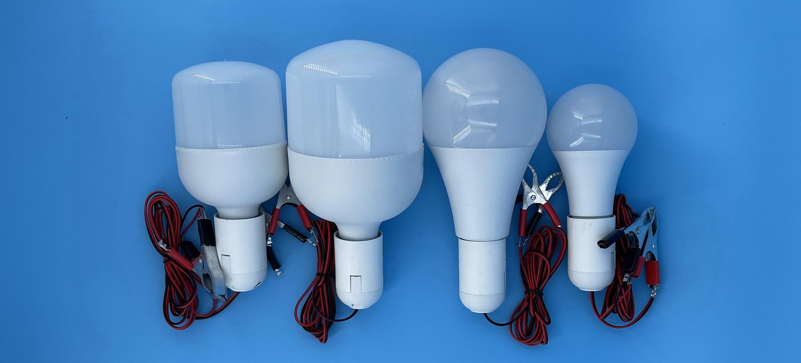 WILLSTAR DC12V led bulbs