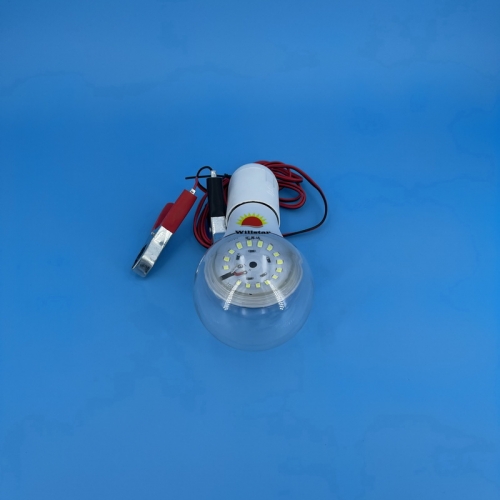 DC12V A70 LED Bulb with Transparent Cover