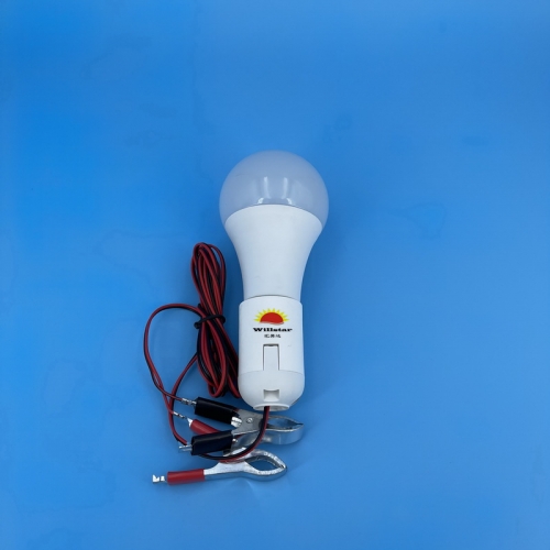 DC12V A70 LED Bulb with Milky White Cover