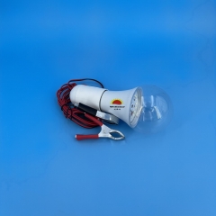 DC12V A70 LED Bulb with Transparent Cover