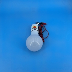 DC12V A70 LED Bulb with Milky White Cover