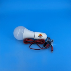 DC12V A70 LED Bulb with Milky White Cover