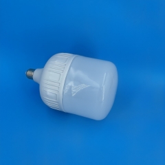 GFS T-Type LED Bulbs T135 30W