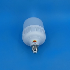 GFS T-Type LED Bulbs T100 20W