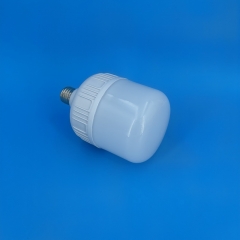 GFS T-Type LED Bulbs T100 20W