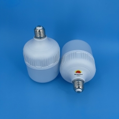 GFS T-Type LED Bulbs T100 20W