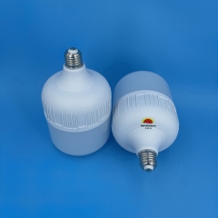 GFS T-Type LED Bulbs T120 25W