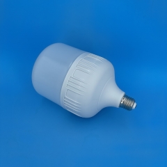 GFS T-Type LED Bulbs T135 30W