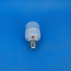GFS T-Type LED Bulbs T60 9W