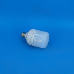 GFS T-Type GFS LED Bulbs T70 12W