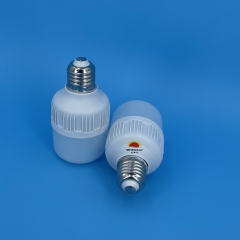 GFS T-Type LED Bulbs T60 9W