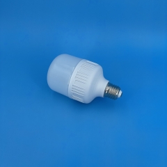 GFS T-Type LED Bulbs T80 15W